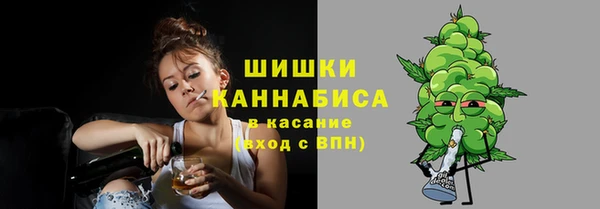 Альфа ПВП Верея