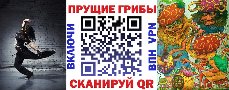 Купить закладки  Лениногорск  Псилоцибиновые грибы GOLDEN TEACHER 